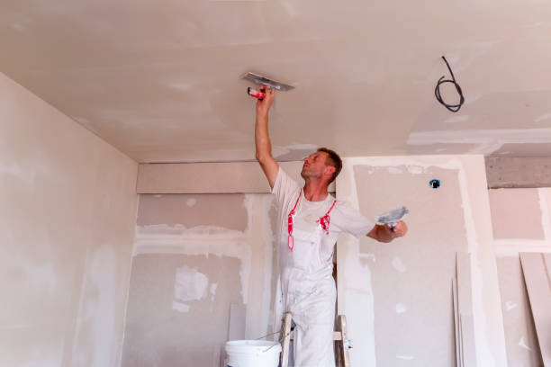 Eco-Friendly and Low-VOC Painting in Country Knolls, NY